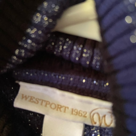 Navy and Black Sweater Dress - Picture 3 of 3